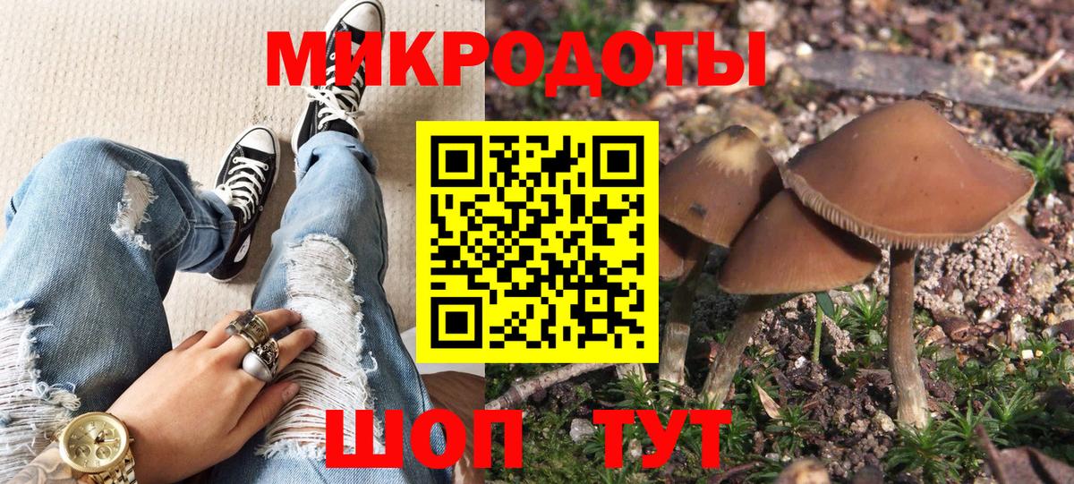 как найти закладки  Галлюциногенные грибы мицелий  Галлюциногенные грибы прущие грибы  Вход с VPN  Осинники 