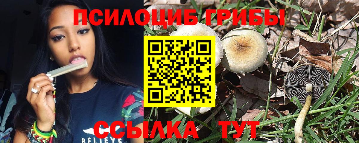 Галлюциногенные грибы MAGIC MUSHROOMS Осинники